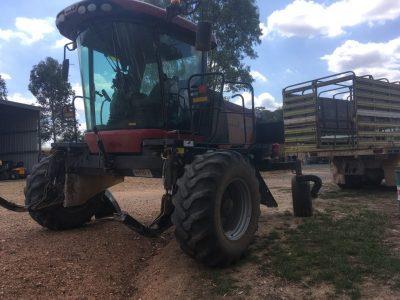 Photo 4. CASE IH WD1903 & DH302 PACKAGE windrower