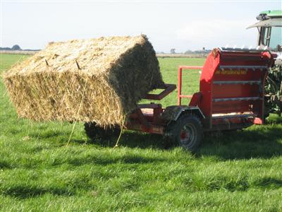 Pa-Mick hay and silage feeder