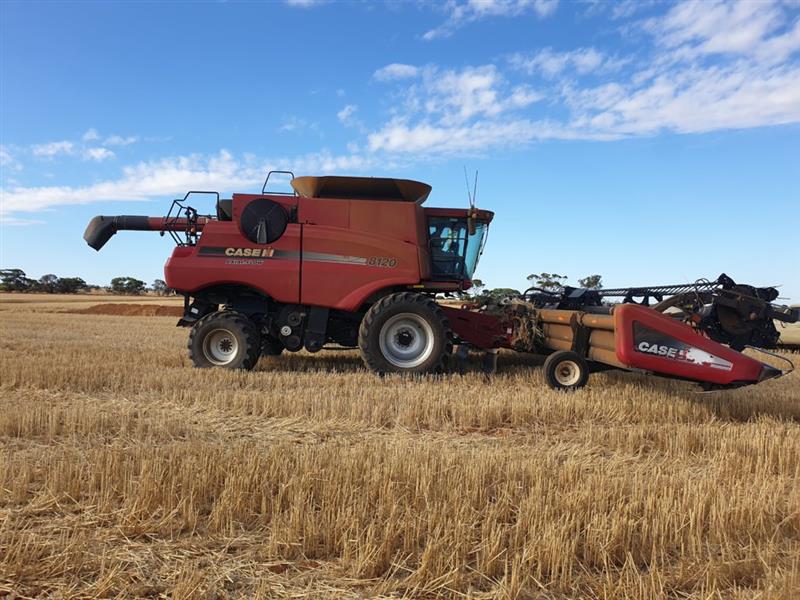 Photo 4. Case IH 8120 Axial Flow Combine with 2009 Case IH 2152 draper front 45ft