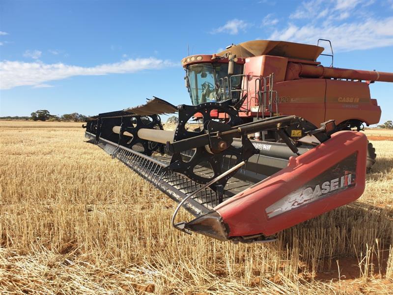 Photo 5. Case IH 8120 Axial Flow Combine with 2009 Case IH 2152 draper front 45ft