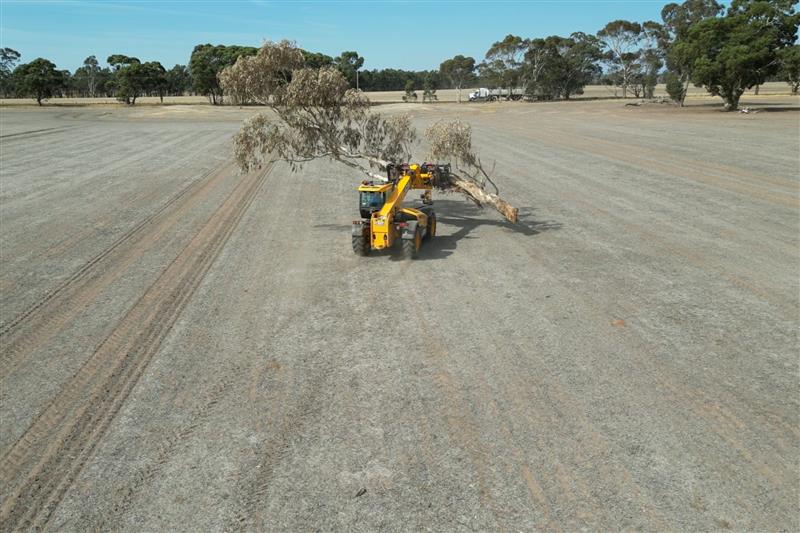 Photo 3. Rata Standard Power Claw