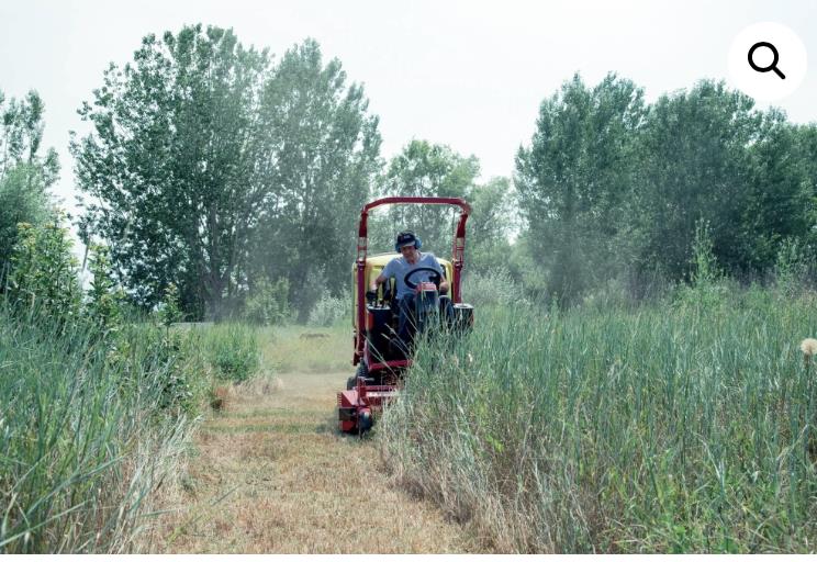 Photo 3. Gianni Ferrari Mower PG /PG XPRO ride on mower