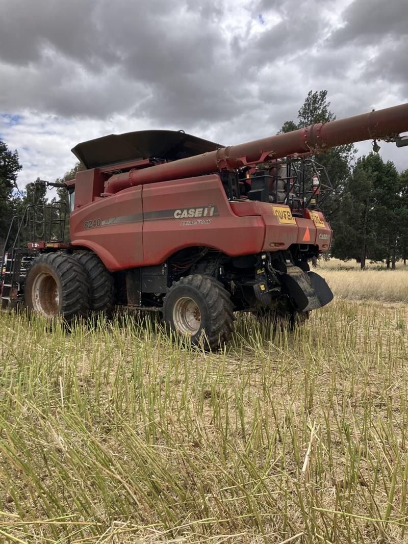 Photo 3. Case IH 8240 combine harvester