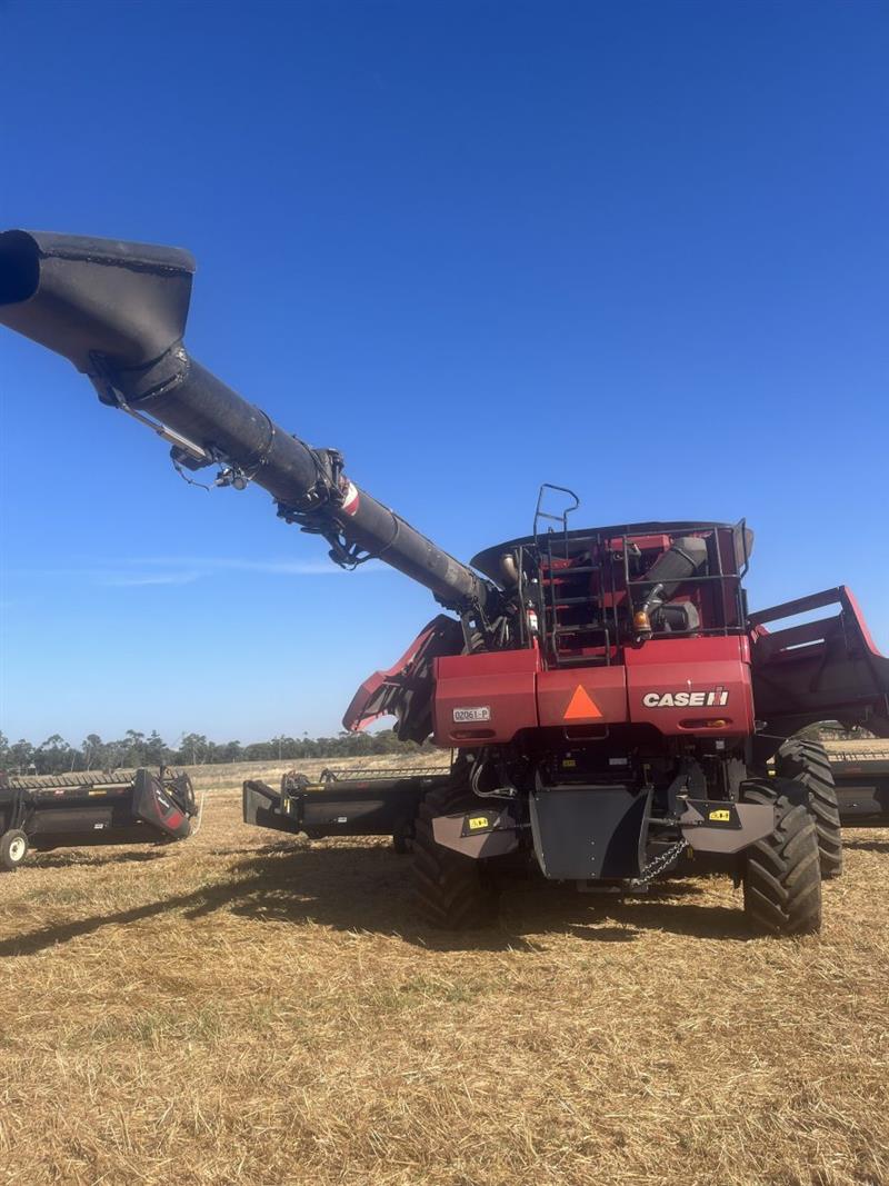 Photo 2. Case IH 8240 combine harvester